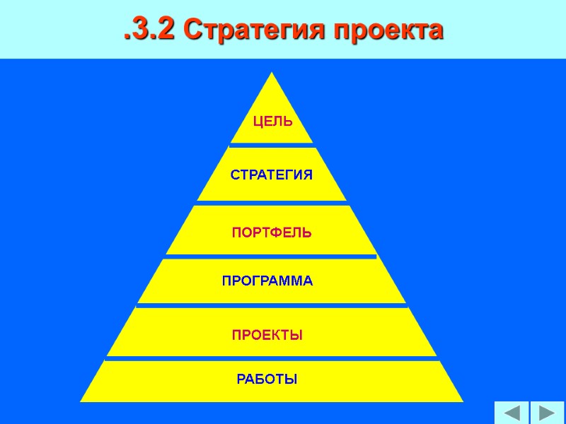 .3.2 Стратегия проекта